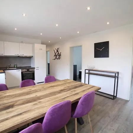 Business-apartment Mit 3 Schlafzimmern Und Parkplatz - 5 Im 1 Og Daire *